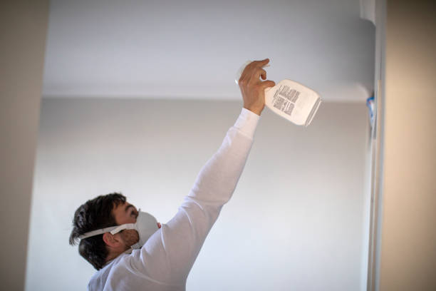 Trusted Urbana, IL Mold Removal Experts