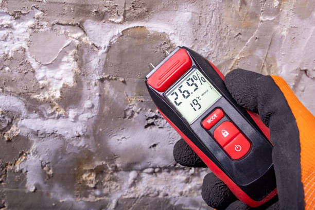 Best Local Mold Removal Service  in Urbana, IL